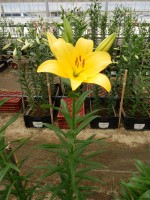 [5055 Palm s Place No01.JPG]